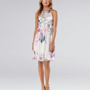 Ever New light floral dress